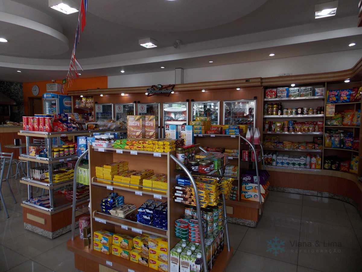 Geladeira auto serviço com led - Imagem 3